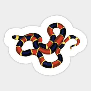 Coral Snake Sticker